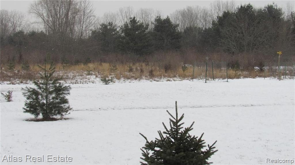 13723 Block Road Birch Run, MI 48415 - Photo 9 of 35