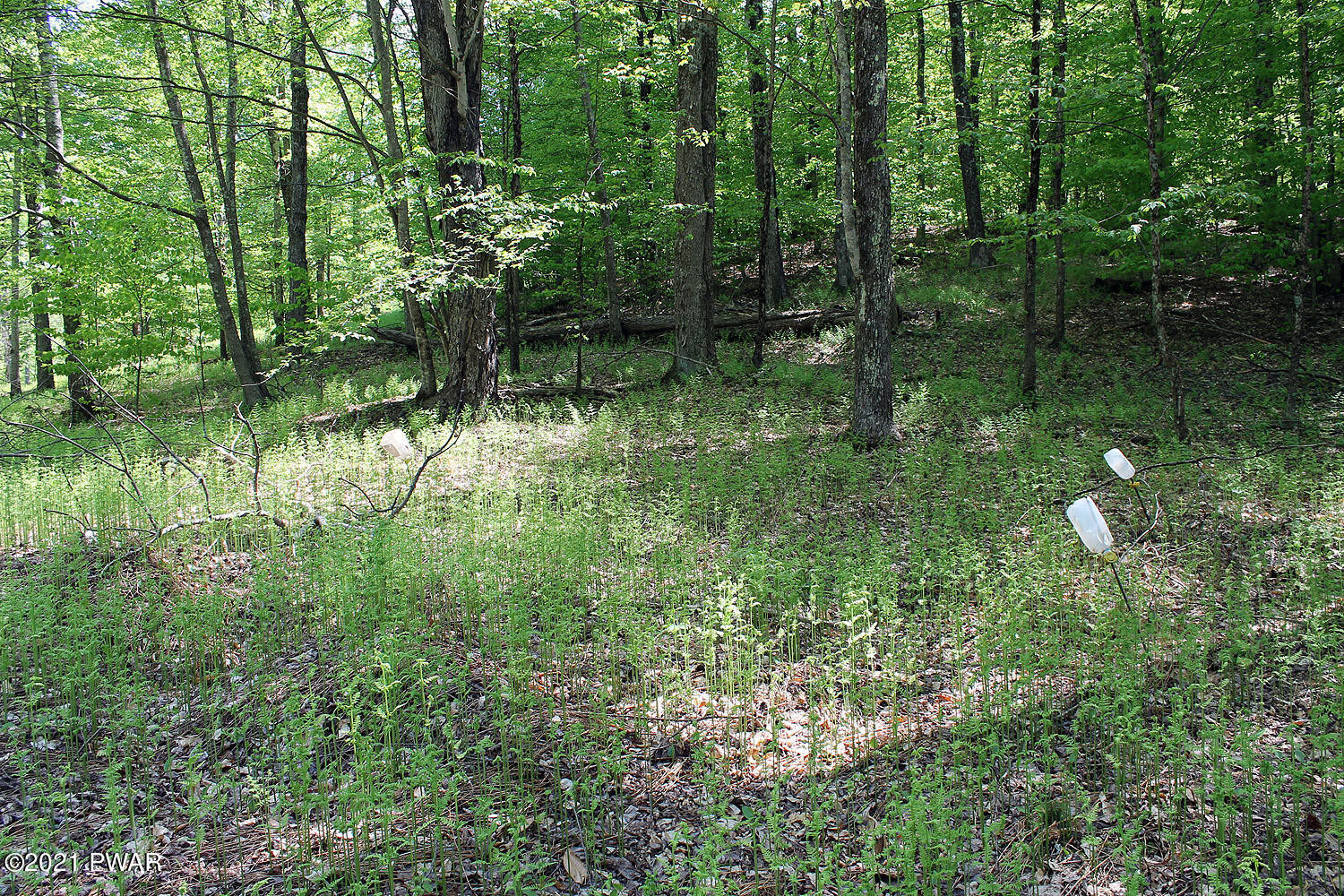 2 Robbs Road Damascus, PA 18415 - Photo 12 of 15