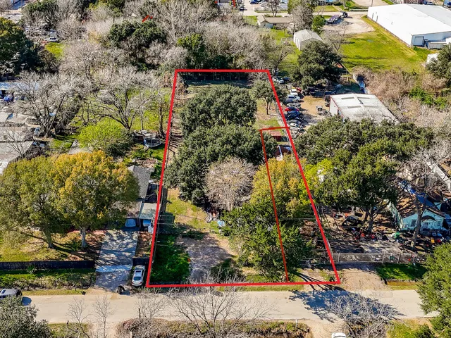 a view of a yard with plants