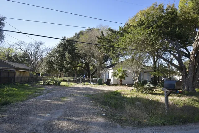 a view of road with large trees