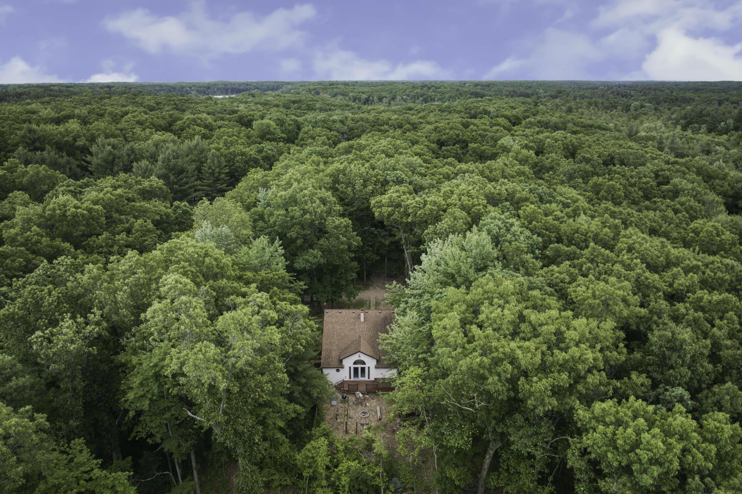 11992 Keiber Road Greenville, MI 48838 - Photo 37 of 48 Aerial View