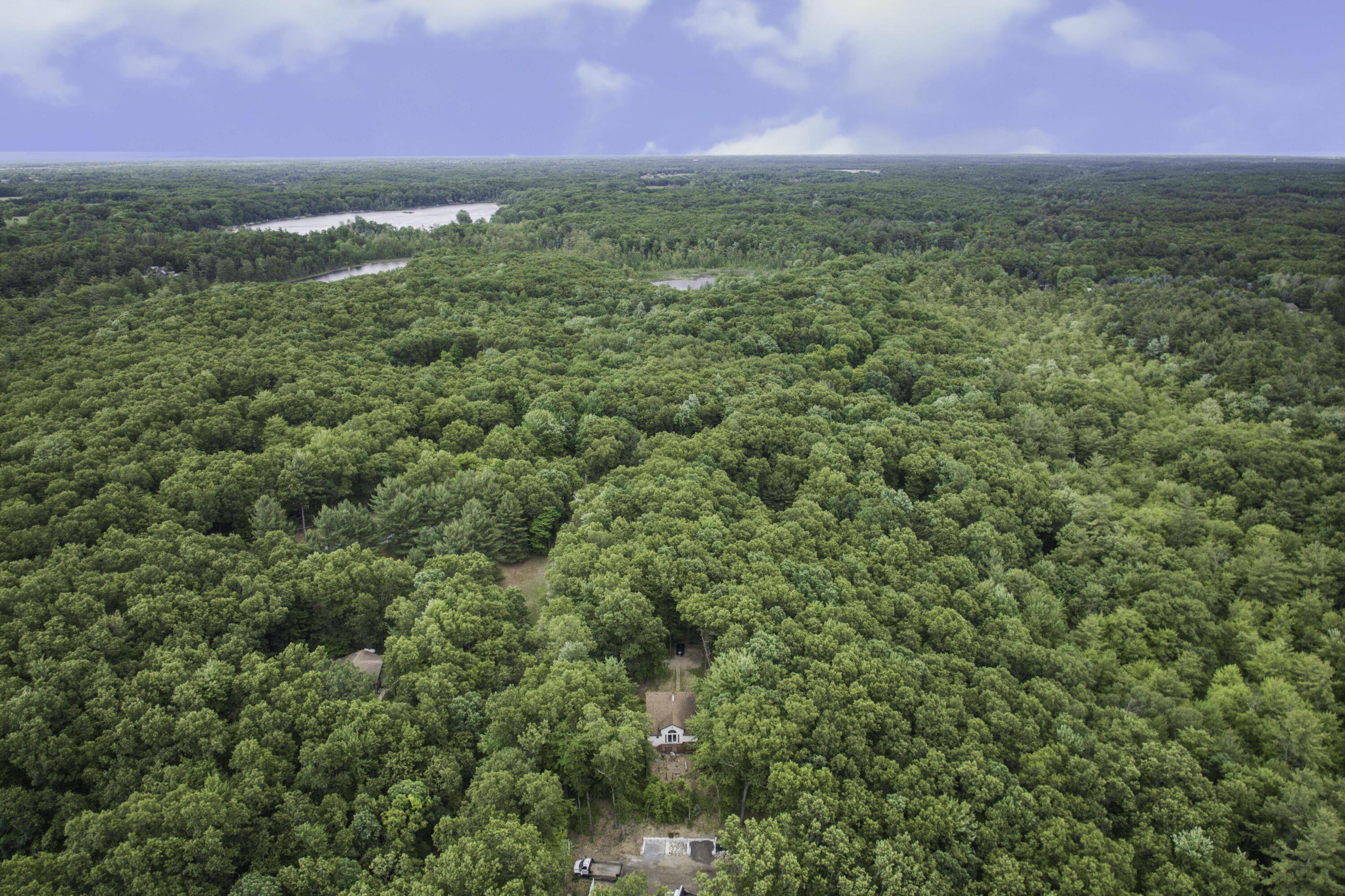 11992 Keiber Road Greenville, MI 48838 - Photo 39 of 48 Aerial View