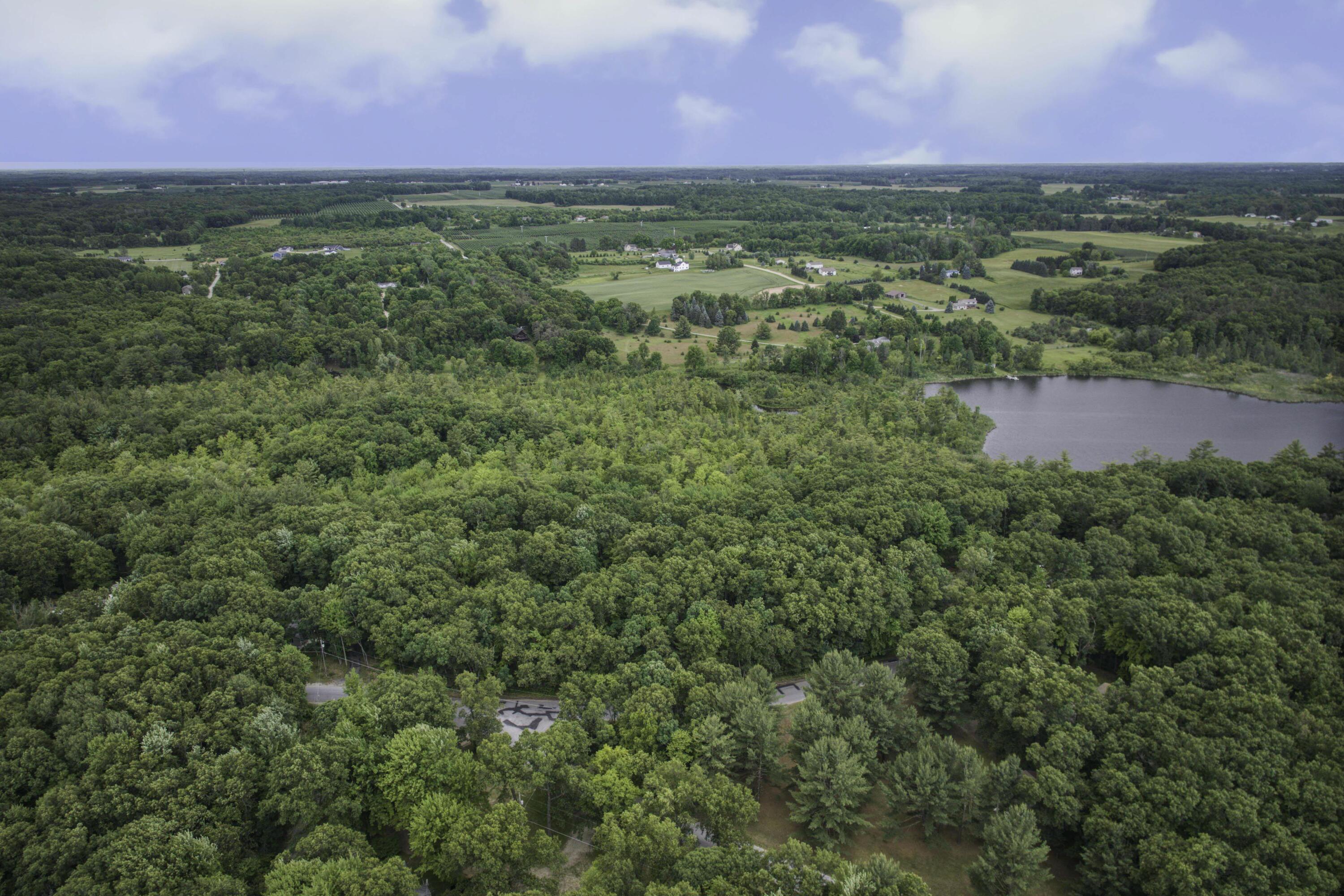 11992 Keiber Road Greenville, MI 48838 - Photo 41 of 48 Aerial View