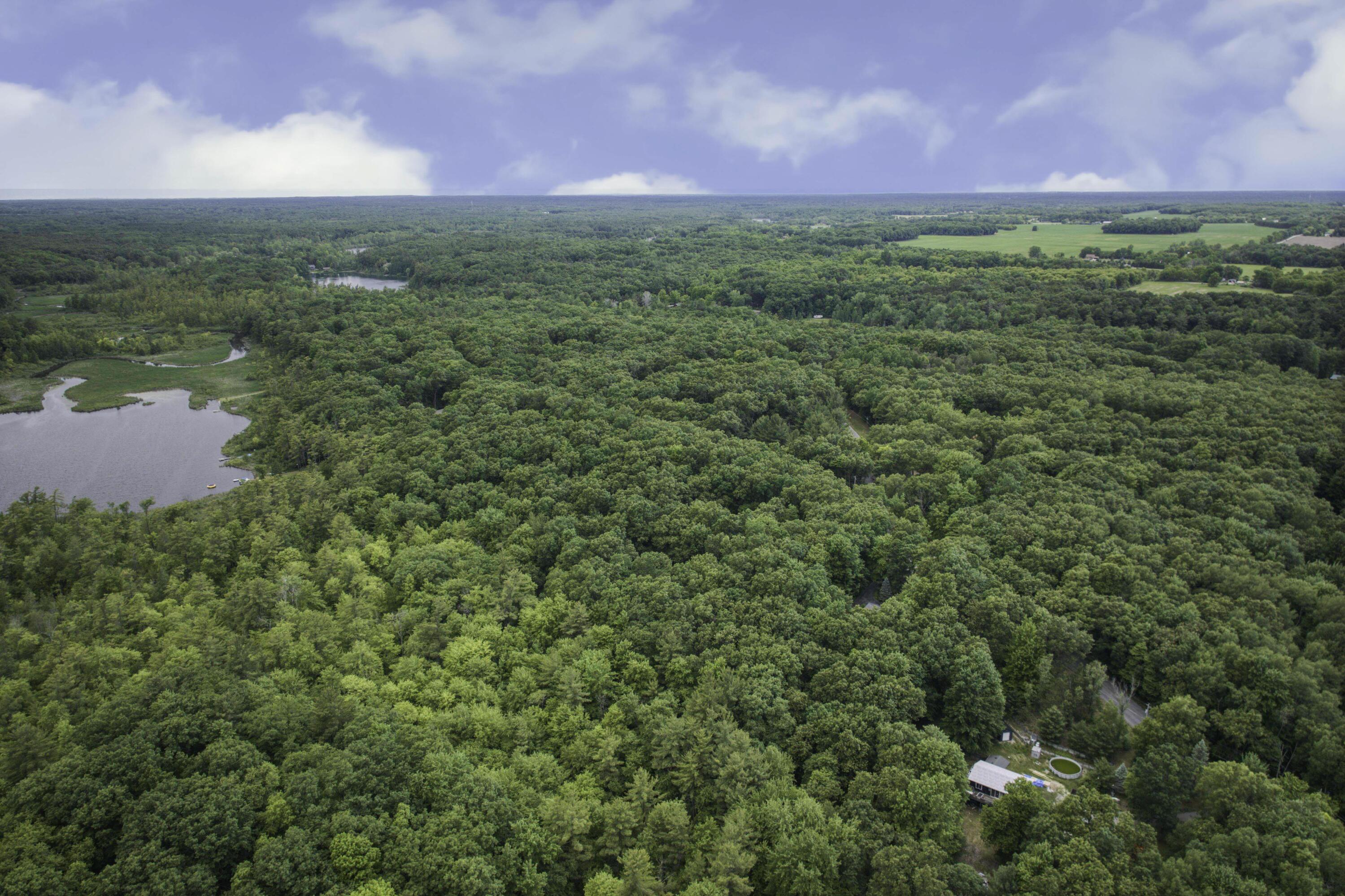 11992 Keiber Road Greenville, MI 48838 - Photo 43 of 48 Aerial View