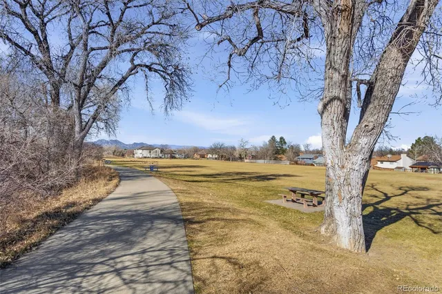 a view of an ocean with trees