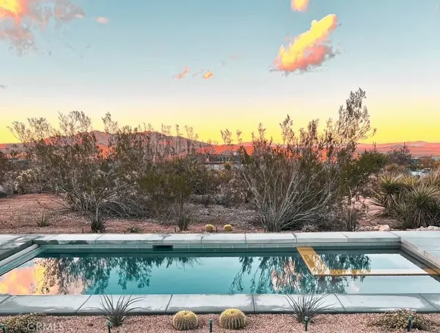 a view of a swimming pool with a yard and plants