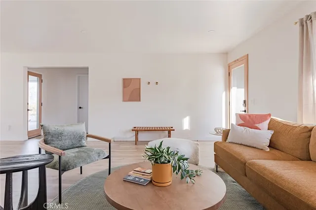 a living room with furniture and a potted plant