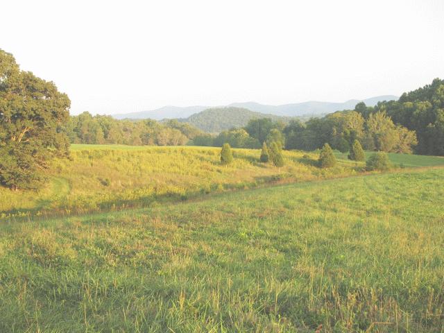 600 Oak Ridge Road Buchanan, VA 24066 - Photo 1 of 4 pastureland