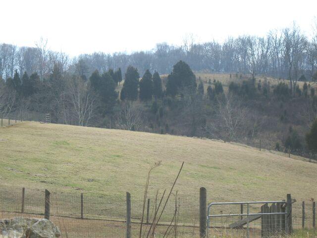 600 Oak Ridge Road Buchanan, VA 24066 - Photo 3 of 4 back fields