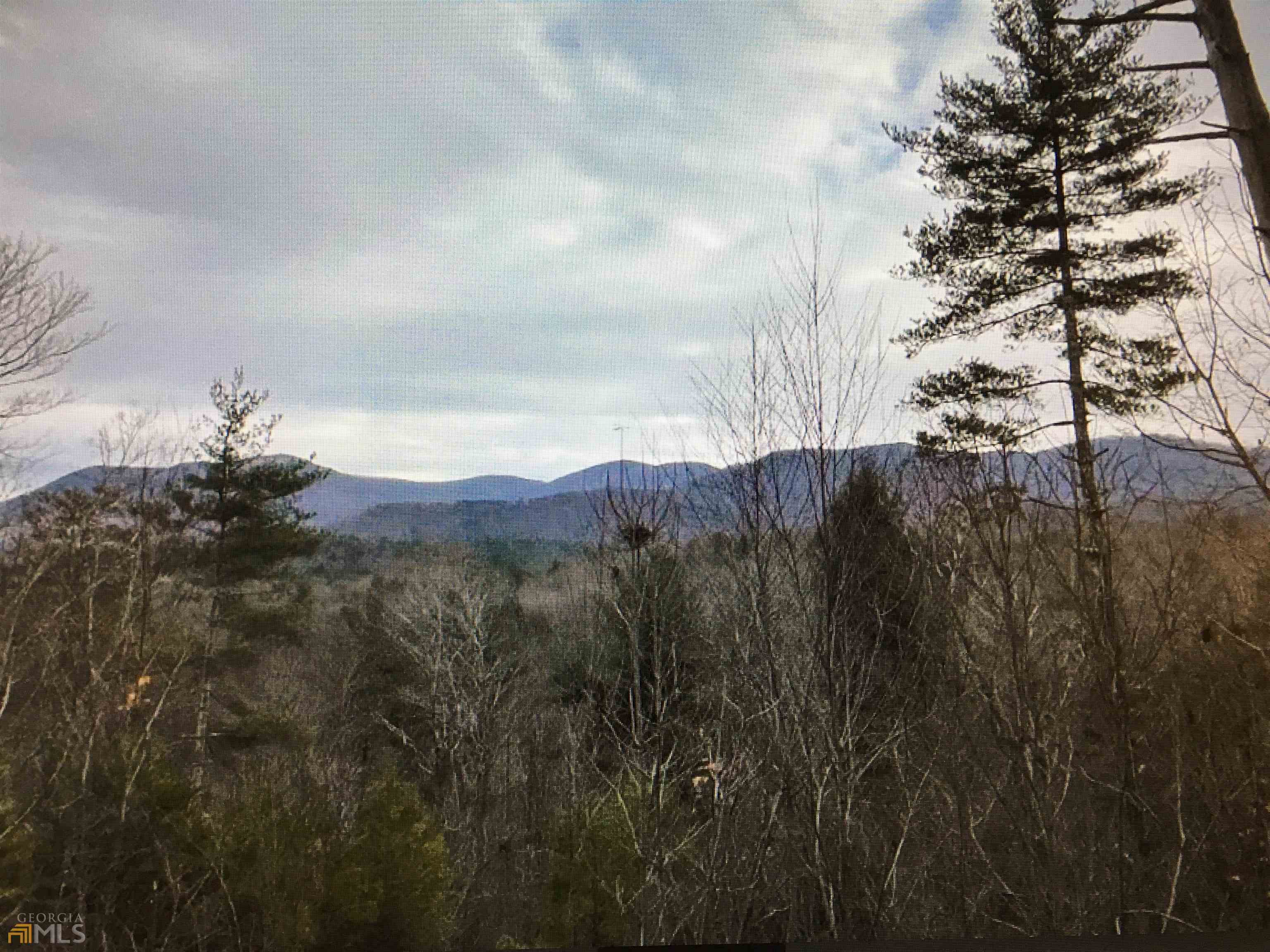 396 Bates Road Ellijay, GA 30540 - Photo 1 of 1