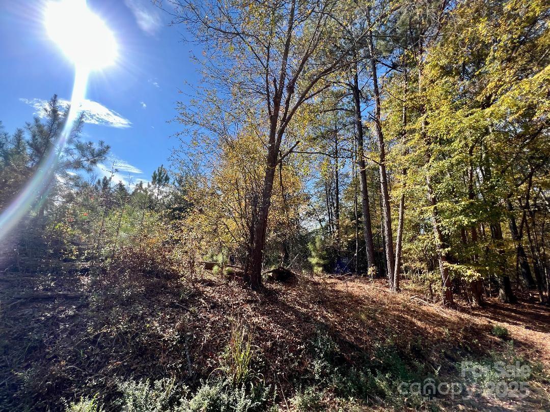 3 Old Camden Highway Lancaster, SC 29720 - Photo 4 of 9