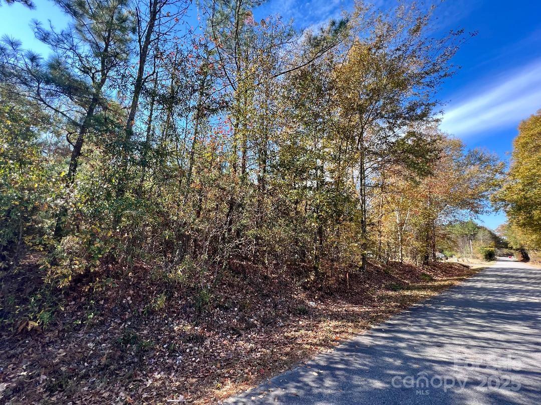 3 Old Camden Highway Lancaster, SC 29720 - Photo 6 of 9