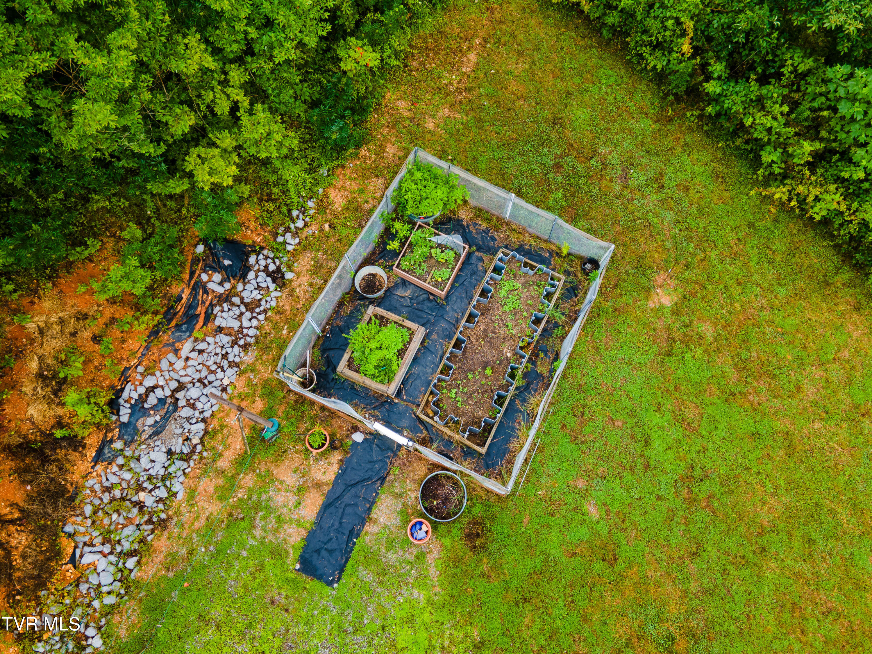 772 Copper Ridge Road Eidson, TN 37731 - Photo 36 of 38 DJI_0096