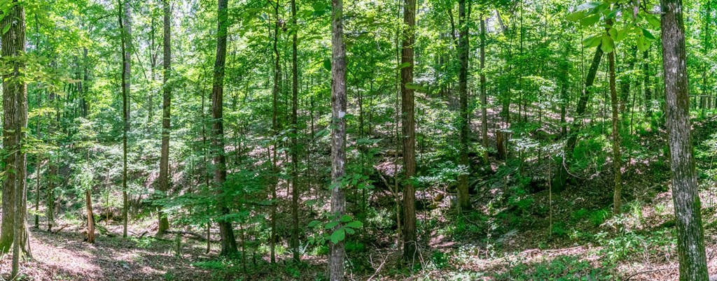 1924 Smith Road Fortson, GA 31808 - Photo 25 of 29 Gallery Image 25