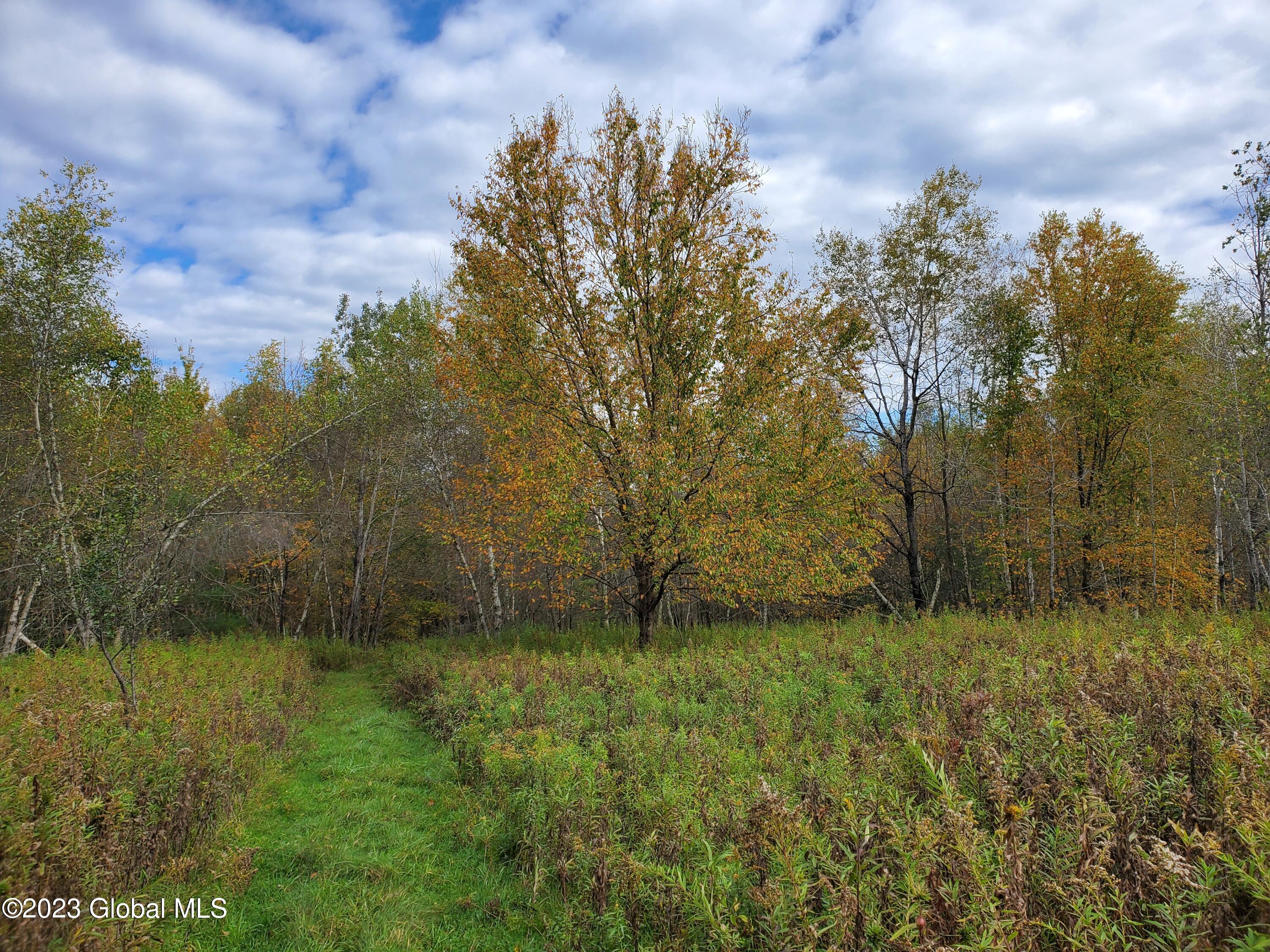 L1 111 L1 111 Andrews Ln  