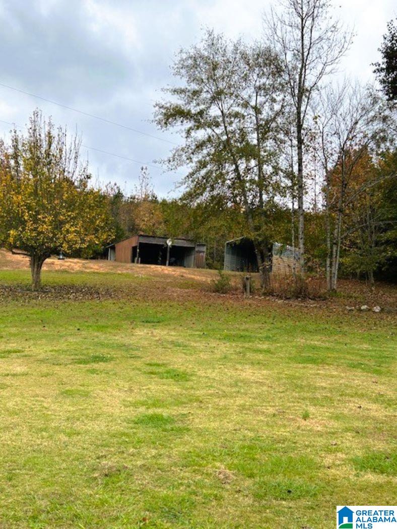 3912 Valley Ford Road Adger, AL 35006 - Photo 43 of 47