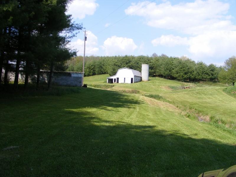 2527 Horse Ridge Road Northwest Willis, VA 24380 - Photo 9 of 29 DSCF5149 (800x600)