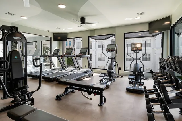 a living room with furniture potted plant and large windows