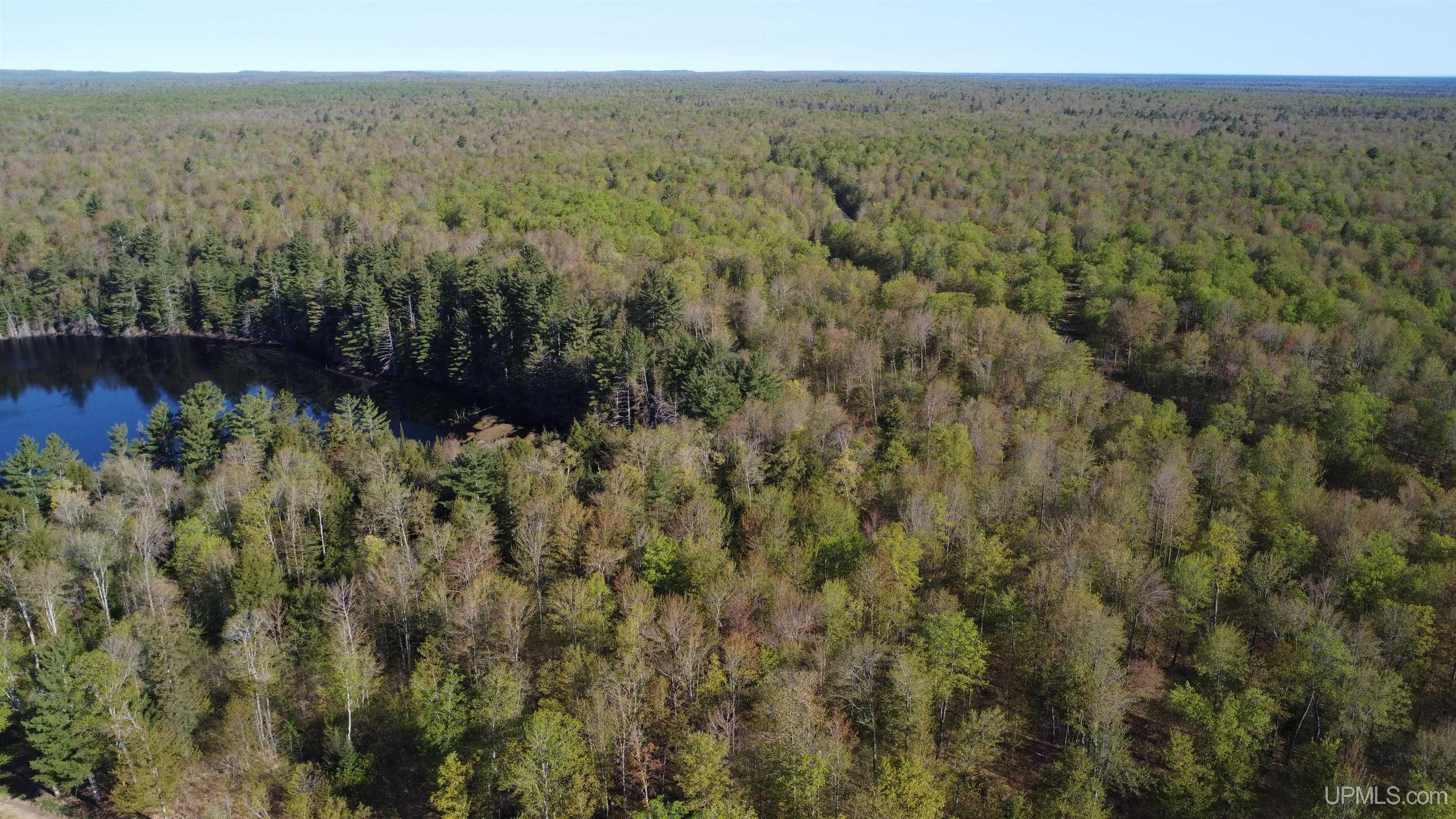 On Wolf Lake Road McMillan, MI 49853 - Photo 18 of 37