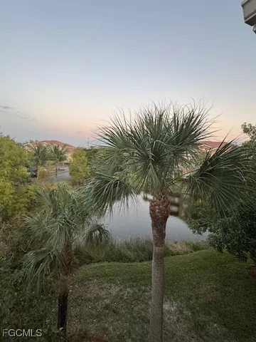 a view of a yard with a palm tree