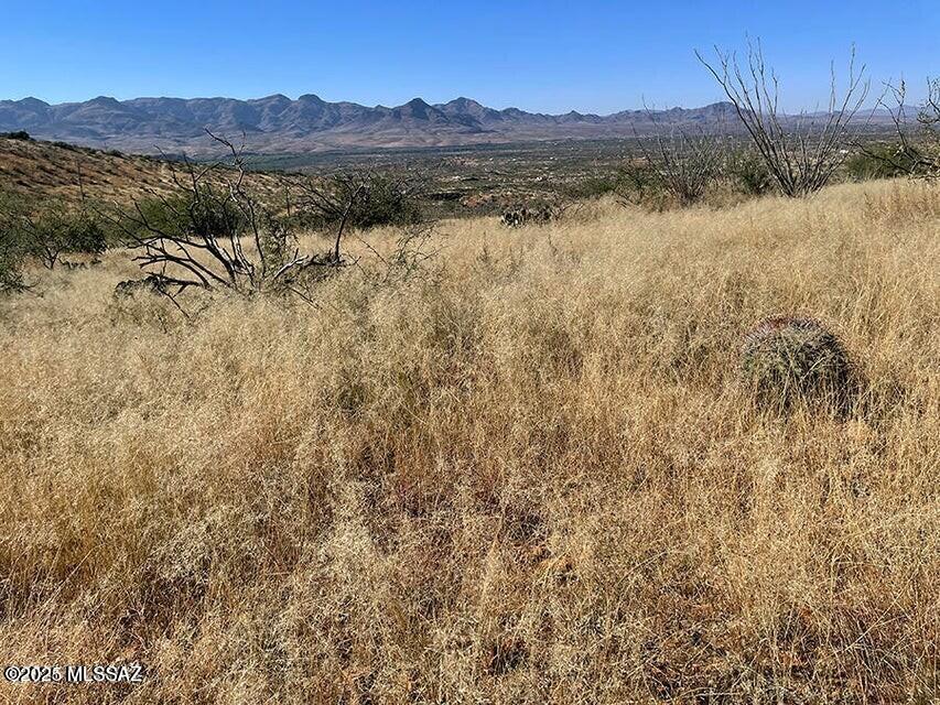 394 Esponja Court, Unit 85 Rio Rico, AZ 85648 - Photo 2 of 10 West view Santa Cruz River Valley