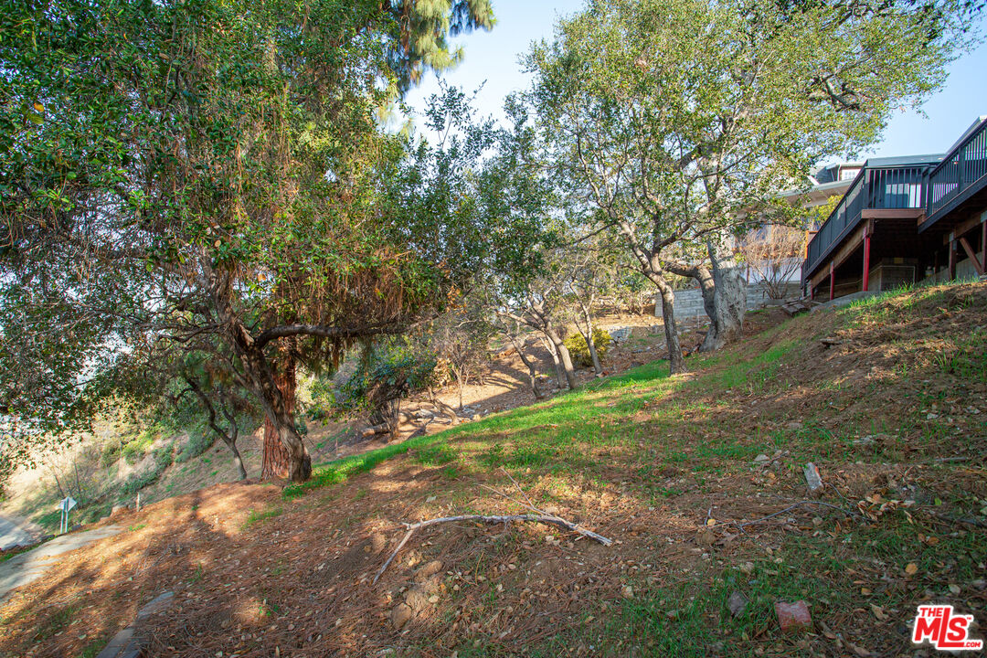 1925 Walcott Way Los Angeles, CA 90039 - Photo 26 of 27 a view of a yard with plants and trees