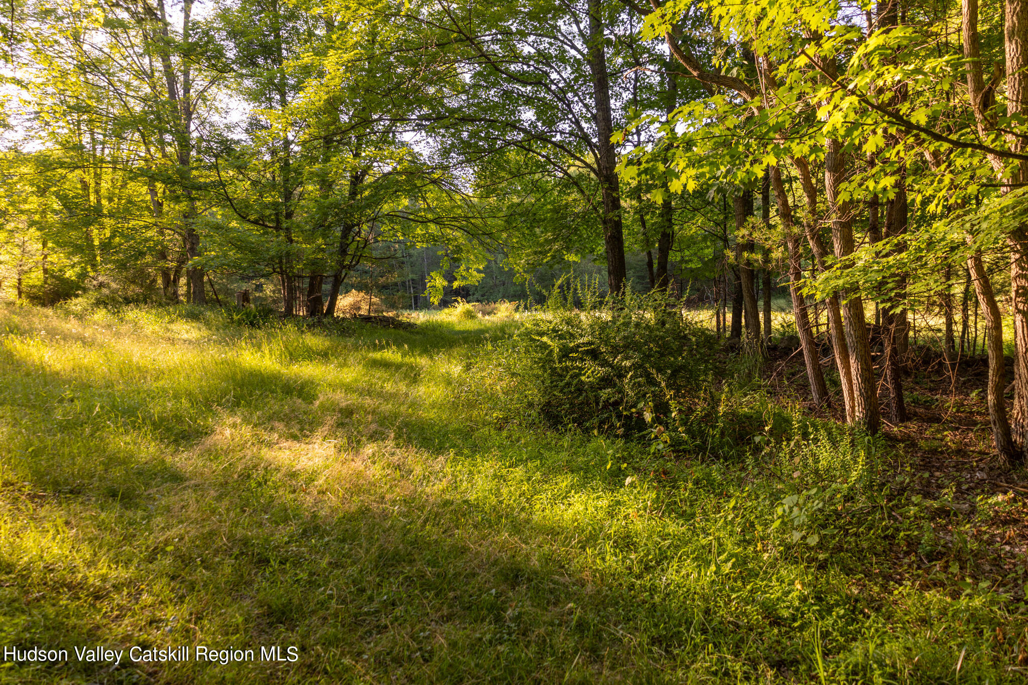 4049 Atwood Road, Unit END OF GERWIN ROAD Stone Ridge, NY 12484 - Photo 17 of 30 a view of yard along with trees