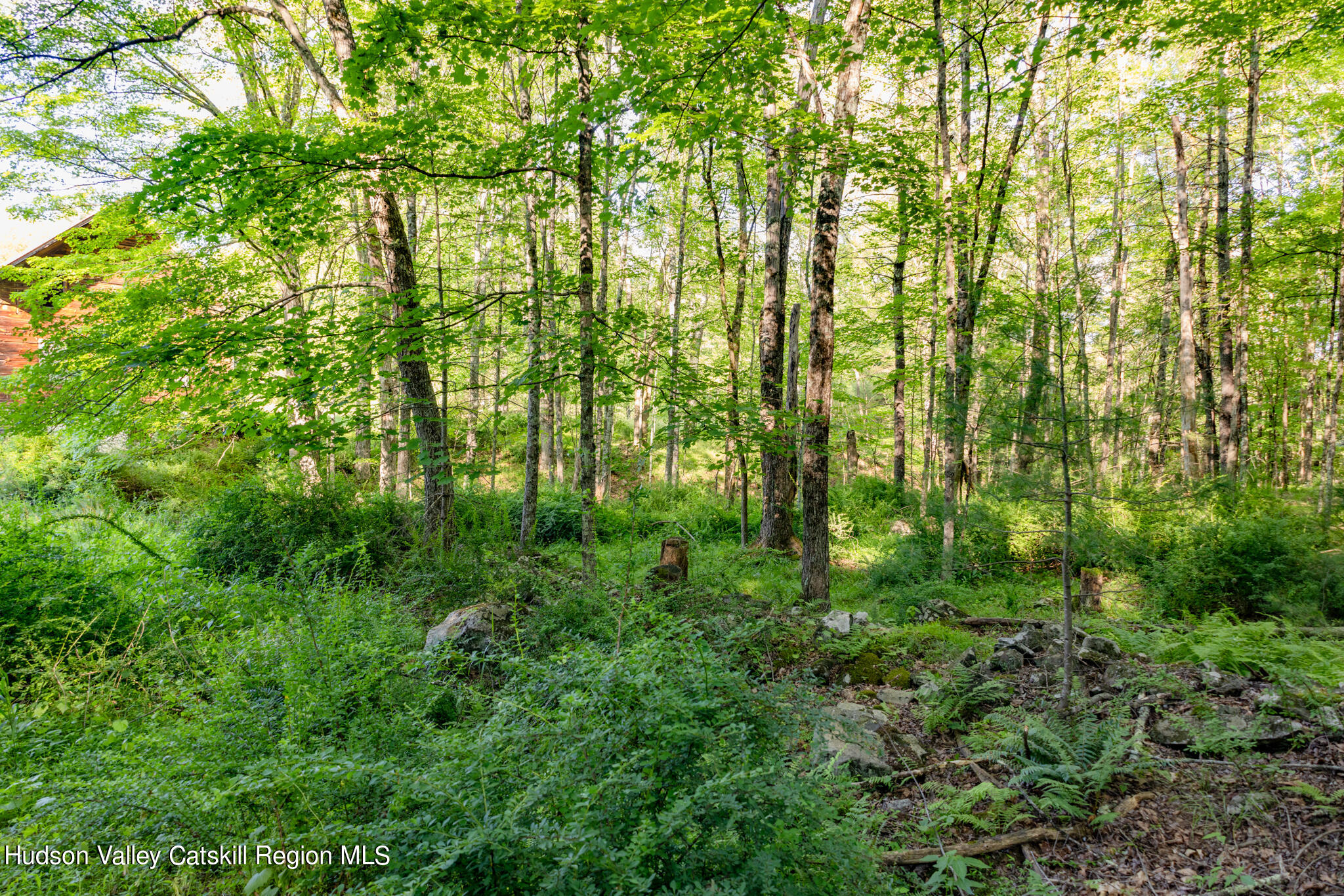 4049 Atwood Road, Unit END OF GERWIN ROAD Stone Ridge, NY 12484 - Photo 18 of 30 a view of forest