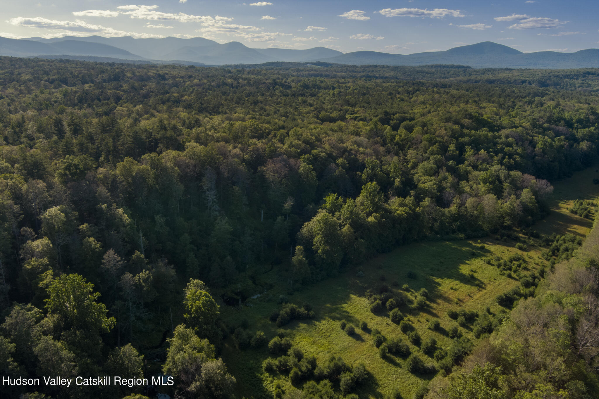 4049 Atwood Road, Unit END OF GERWIN ROAD Stone Ridge, NY 12484 - Photo 26 of 30 a view of lake and mountain