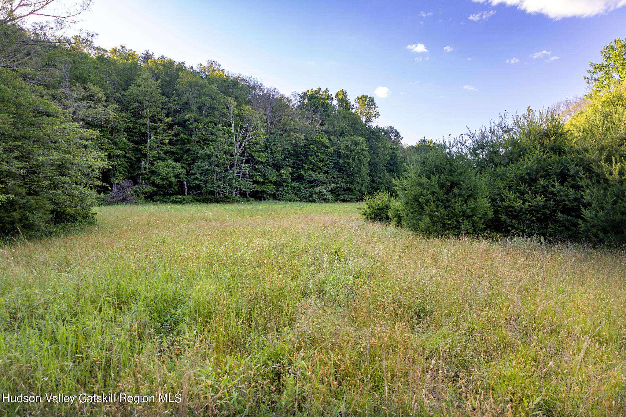 4049 Atwood Road, Unit END OF GERWIN ROAD Stone Ridge, NY 12484 - Photo 29 of 30 a view of outdoor space and yard