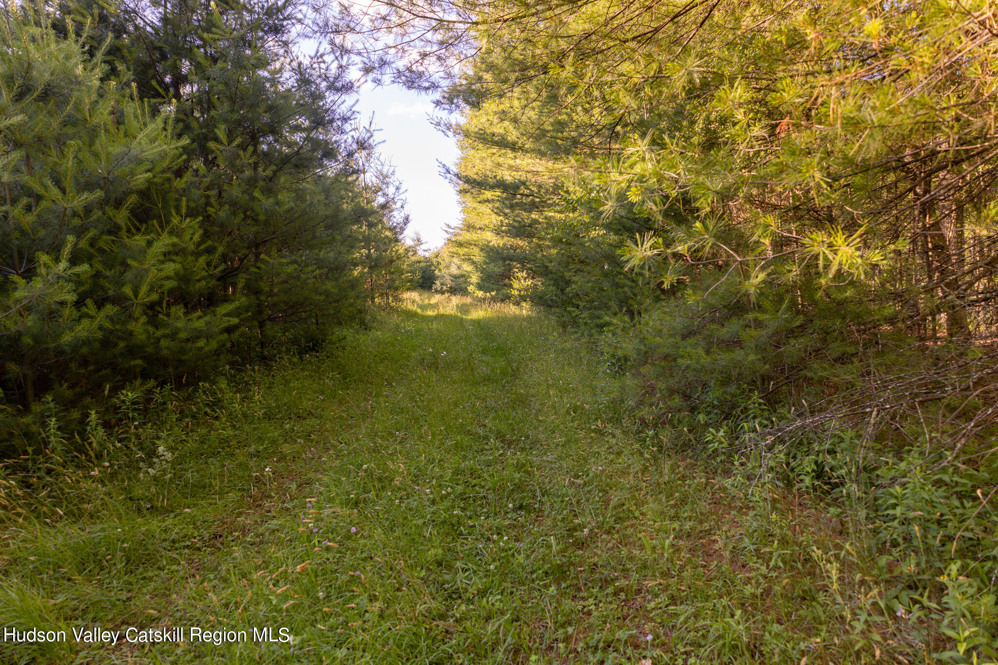 4049 Atwood Road, Unit END OF GERWIN ROAD Stone Ridge, NY 12484 - Photo 30 of 30 a view of a yard