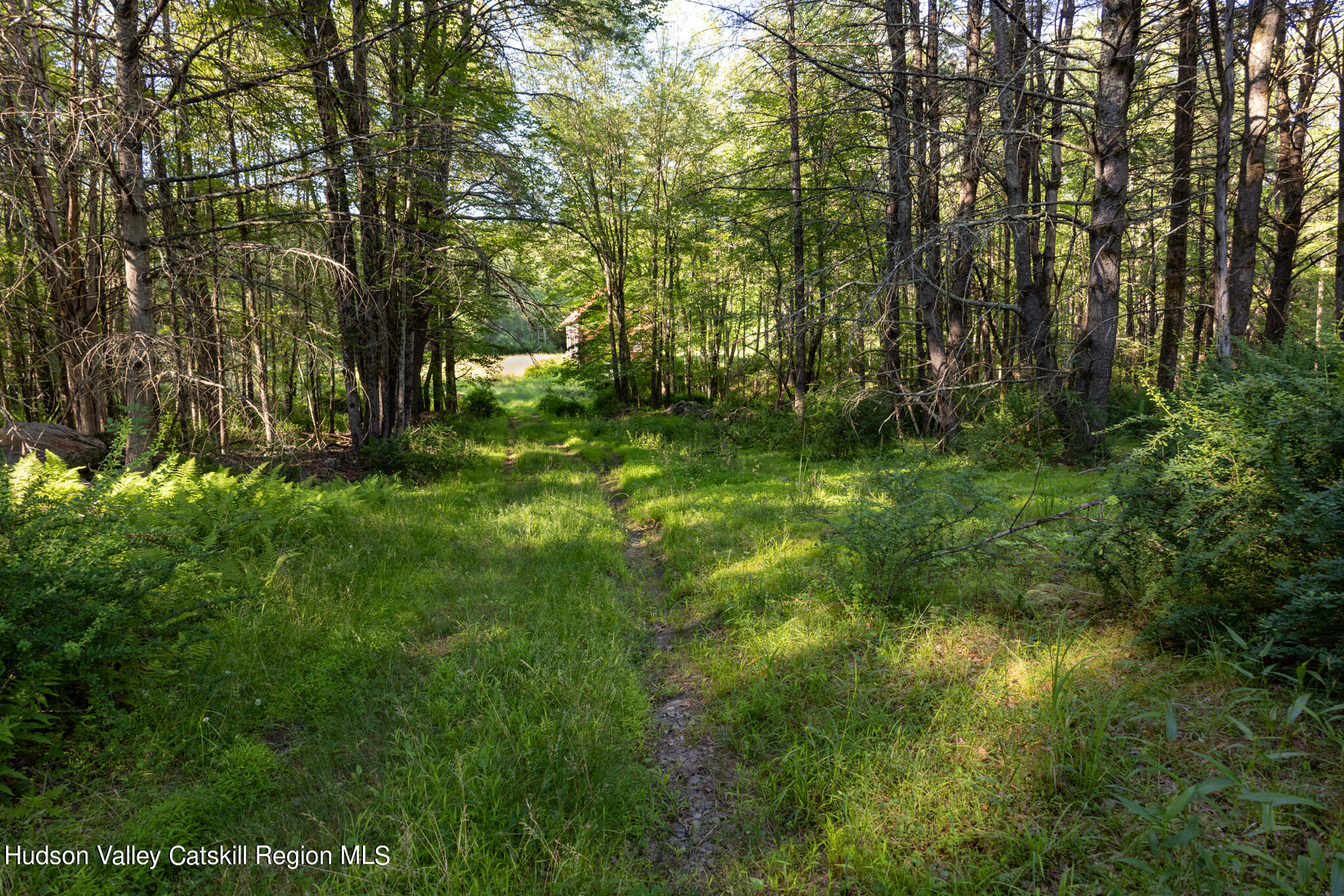 4049 Atwood Road, Unit END OF GERWIN ROAD Stone Ridge, NY 12484 - Photo 5 of 30 a lush green forest with lots of trees