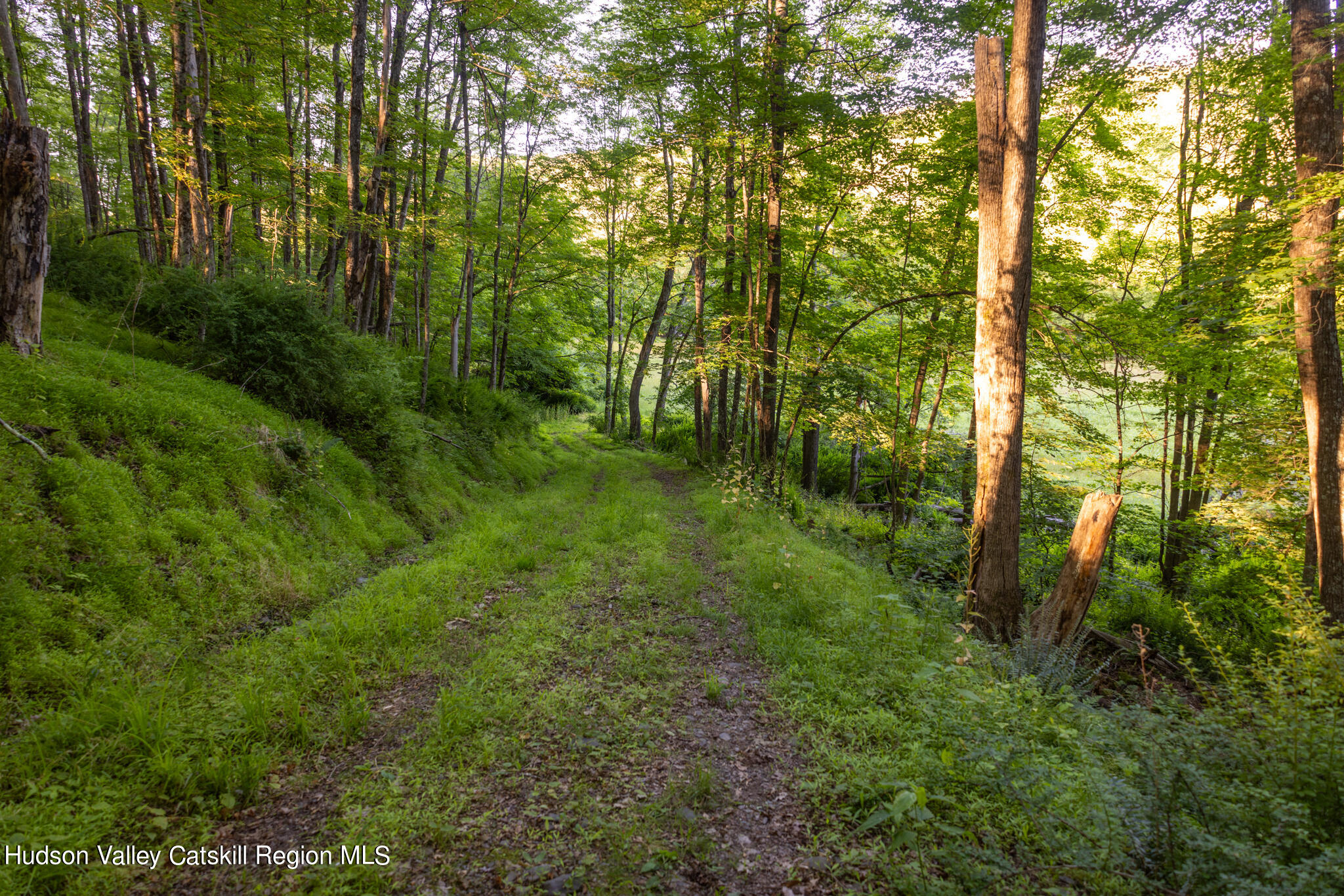 4049 Atwood Road, Unit END OF GERWIN ROAD Stone Ridge, NY 12484 - Photo 6 of 30 a view of lush green forest