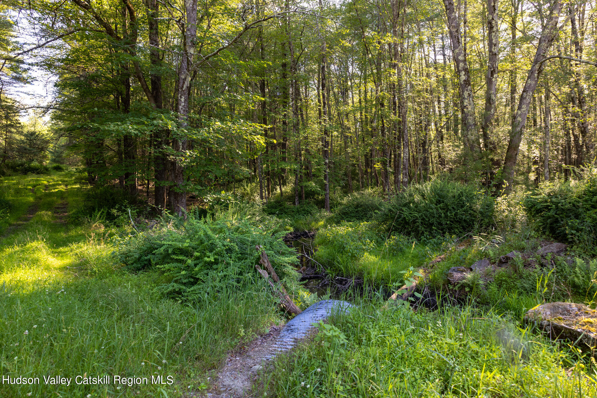 4049 Atwood Road, Unit END OF GERWIN ROAD Stone Ridge, NY 12484 - Photo 10 of 30 a view of a garden