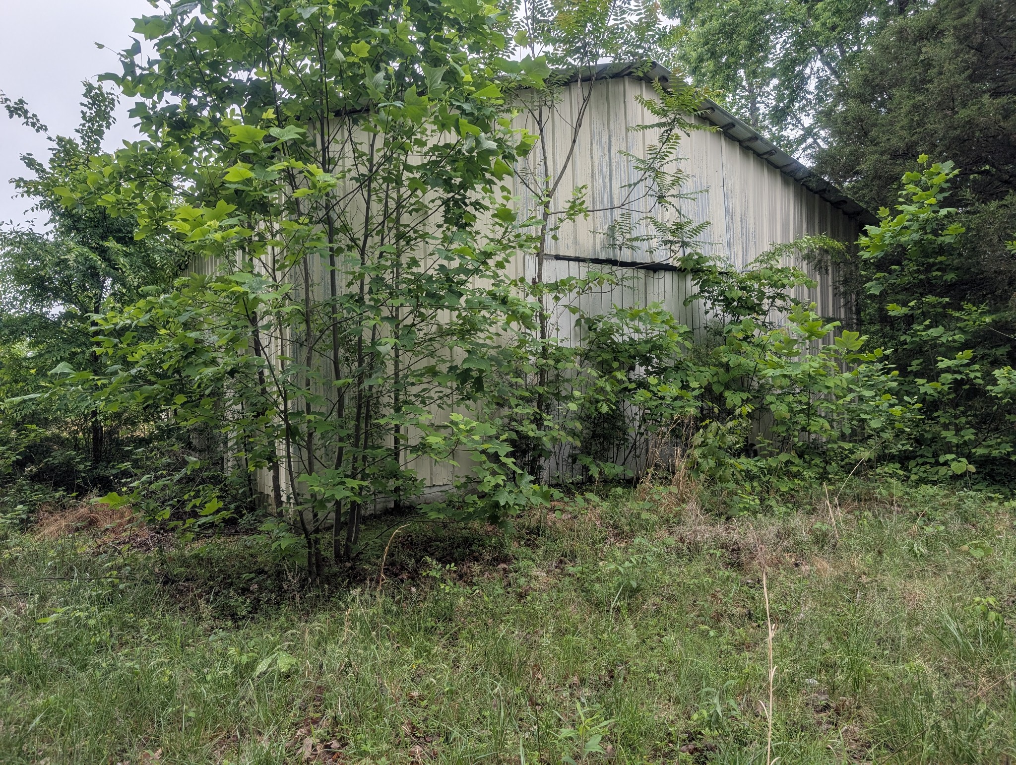 1475 Holland Road Lafayette, TN 37083 - Photo 3 of 3