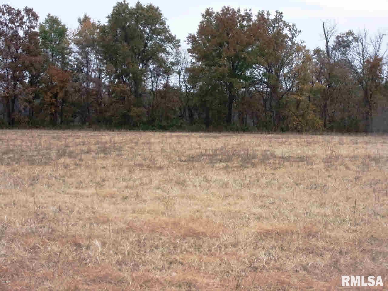 2500-b Bloc Red Stripe Road Odin, IL 62870 - Photo 1 of 3 Gallery Image 1