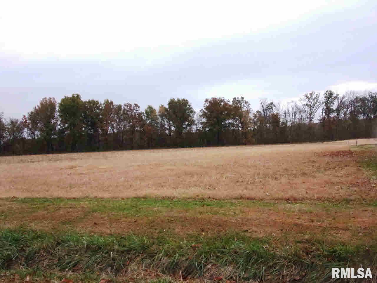 2500-b Bloc Red Stripe Road Odin, IL 62870 - Photo 3 of 3 Gallery Image 3