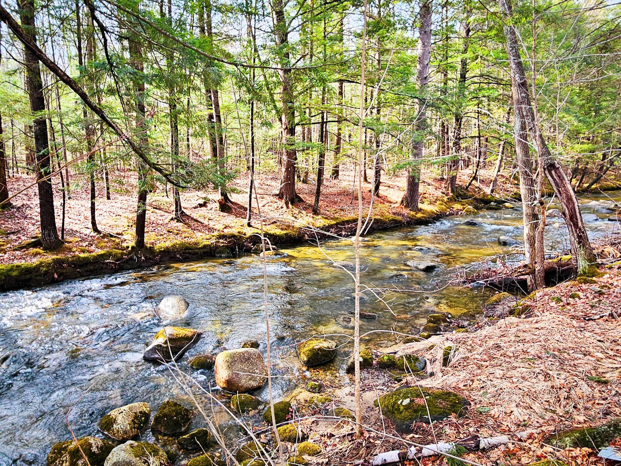 922 Weld Road Wilton, ME 04294 - Photo 14 of 53