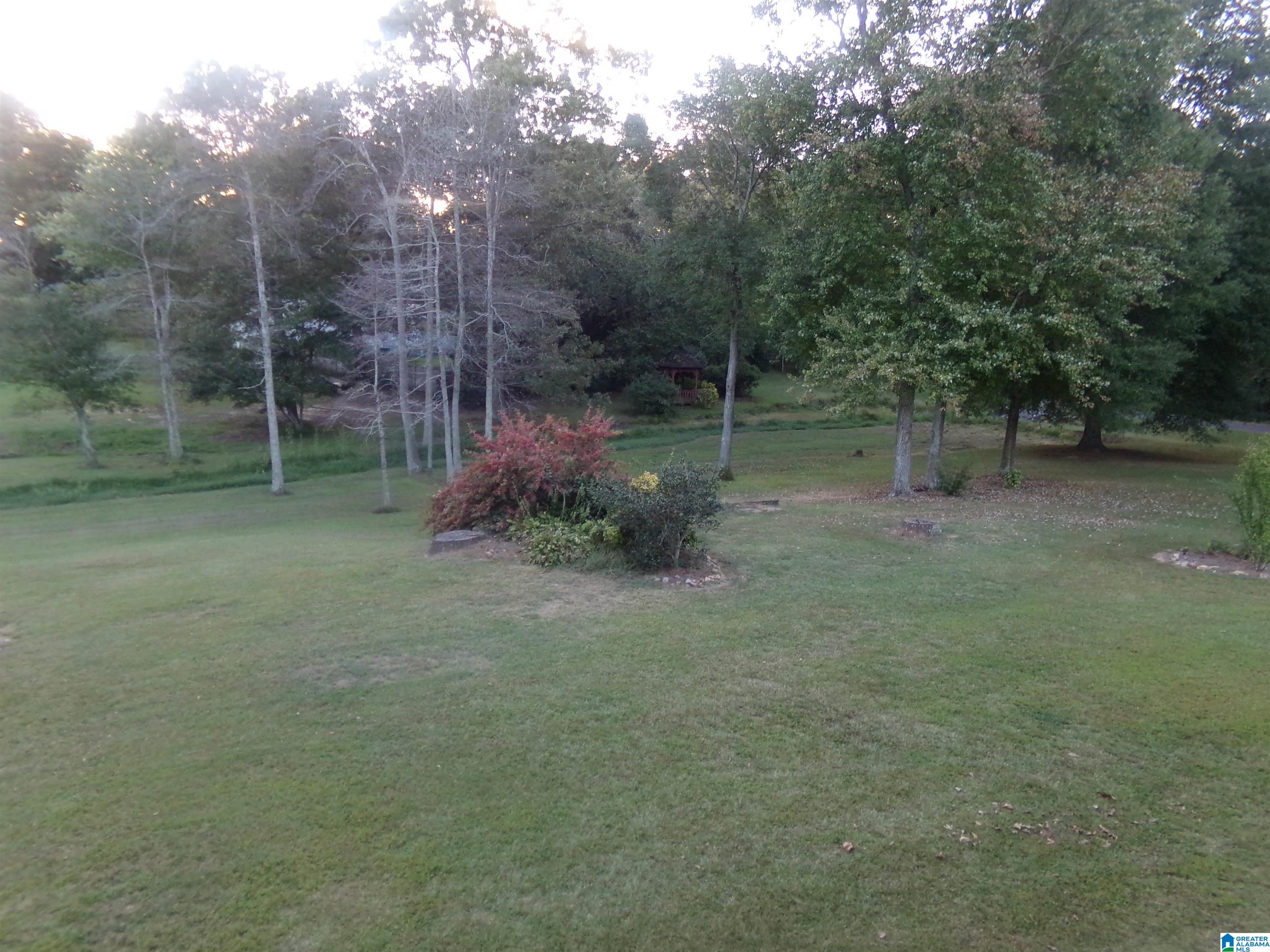 1035 Union Grove Road North Crossville, AL 35962 - Photo 64 of 99