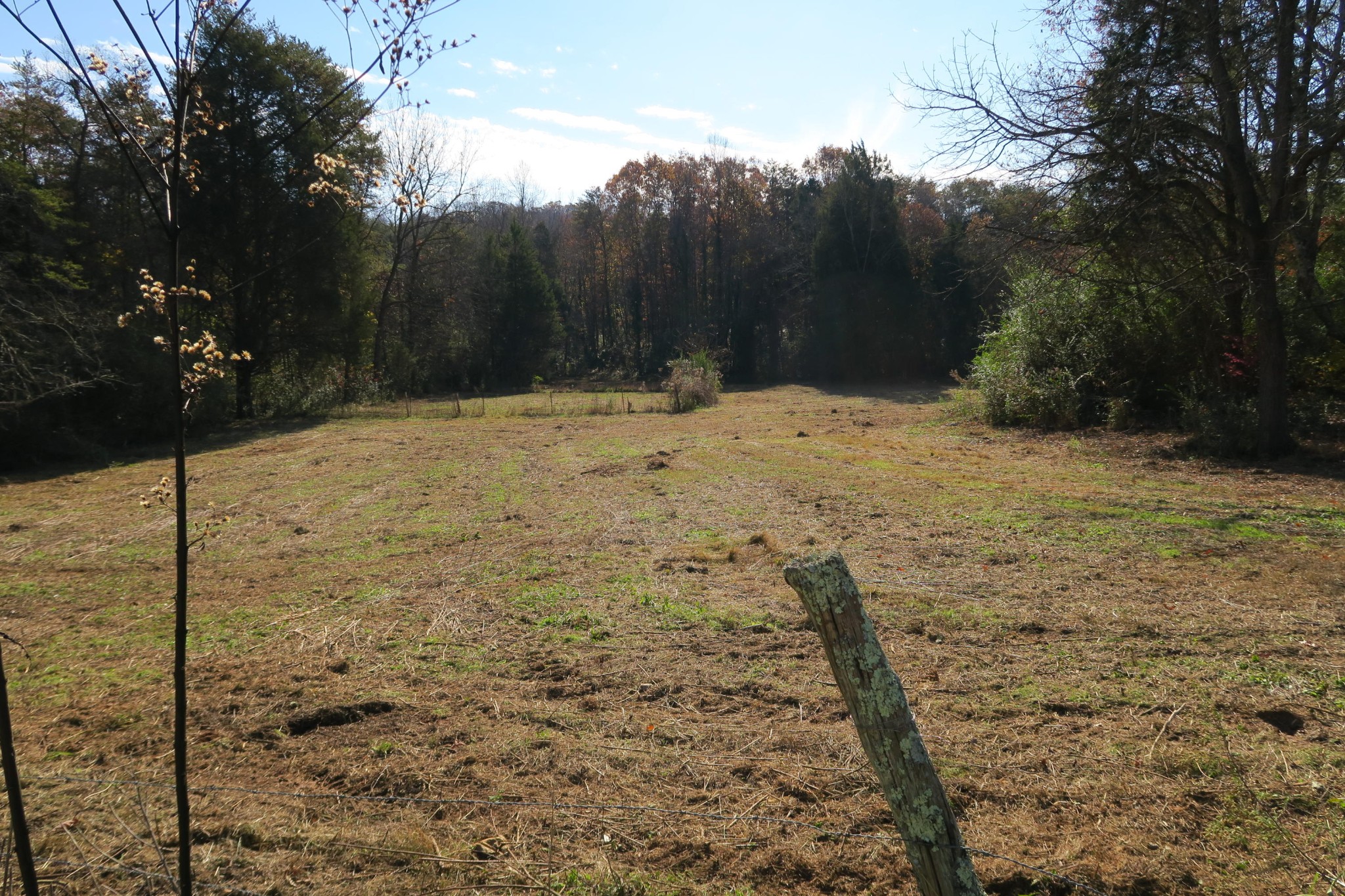 4461 Floyd Lee Road Friendsville, TN 37737 - Photo 12 of 35 Gallery Image 12