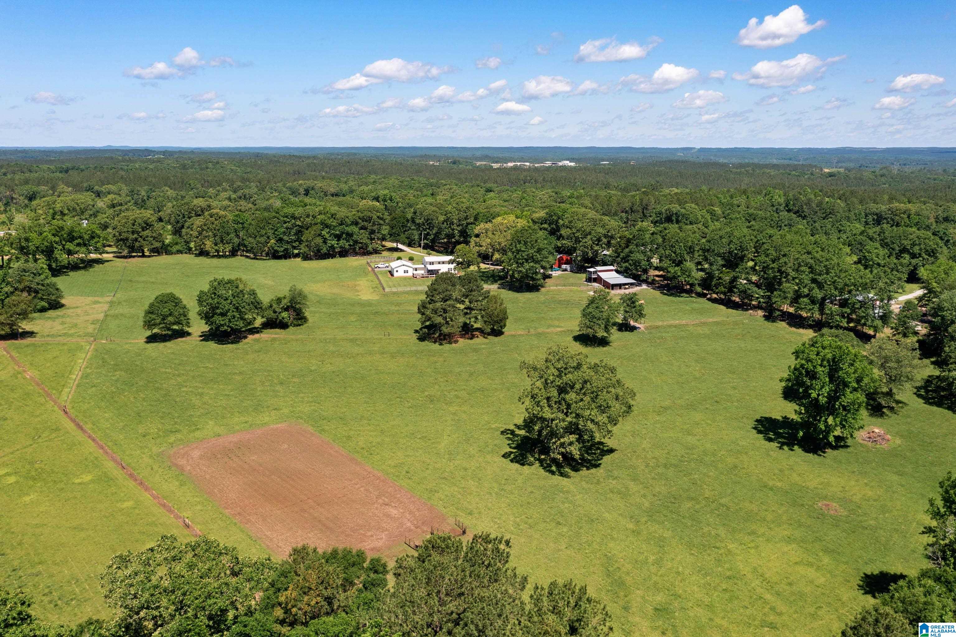 646 Burt Spur Road Brierfield, AL 35035 - Photo 12 of 38