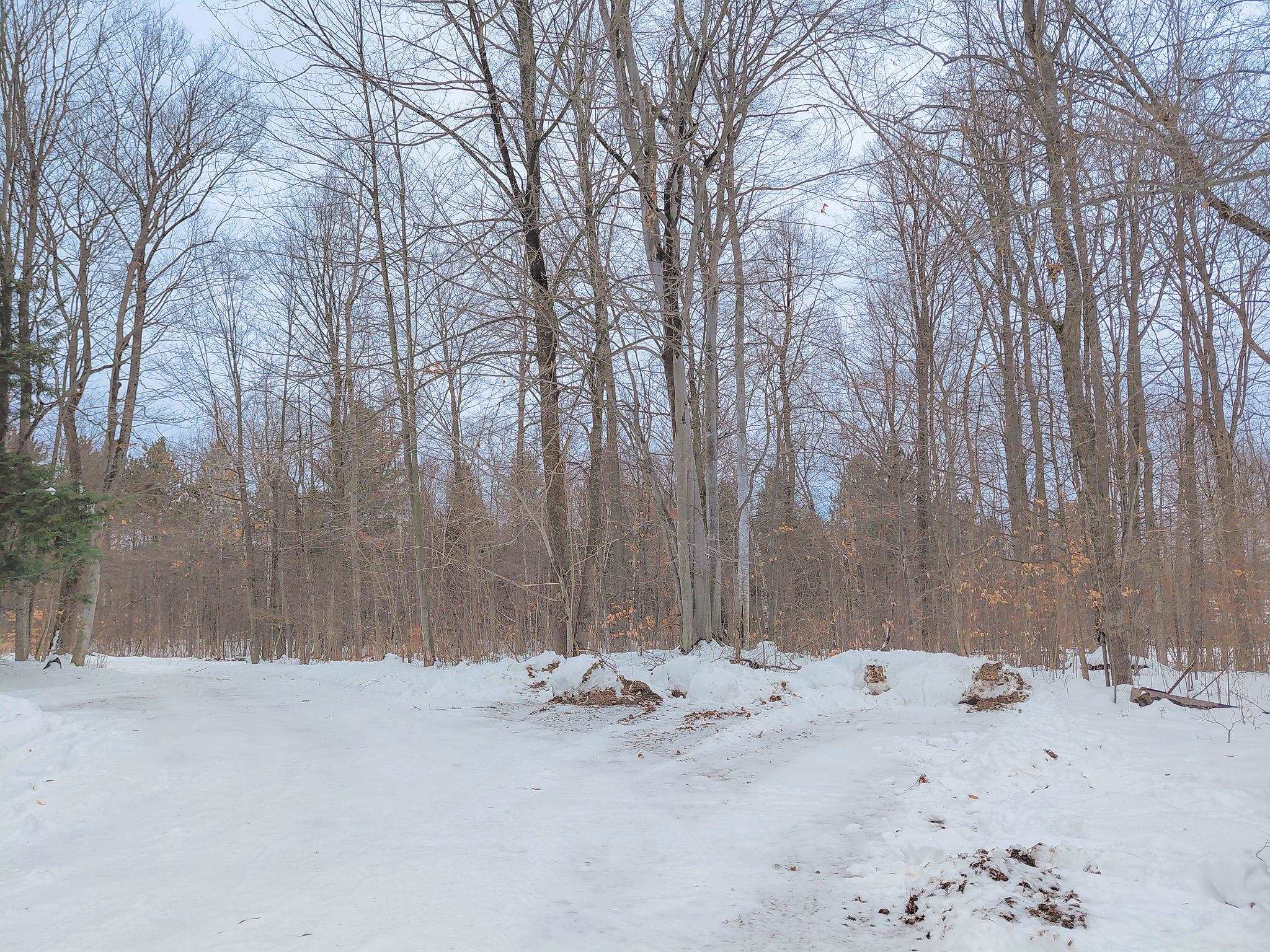 2240 East Haskell Lake Road Harrison, MI 48625 - Photo 6 of 41 Gallery Image 6