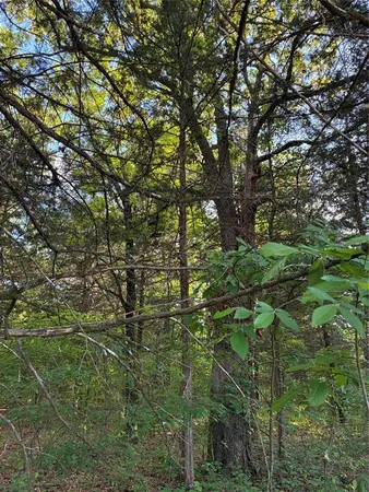 a backyard of a house with lots of trees
