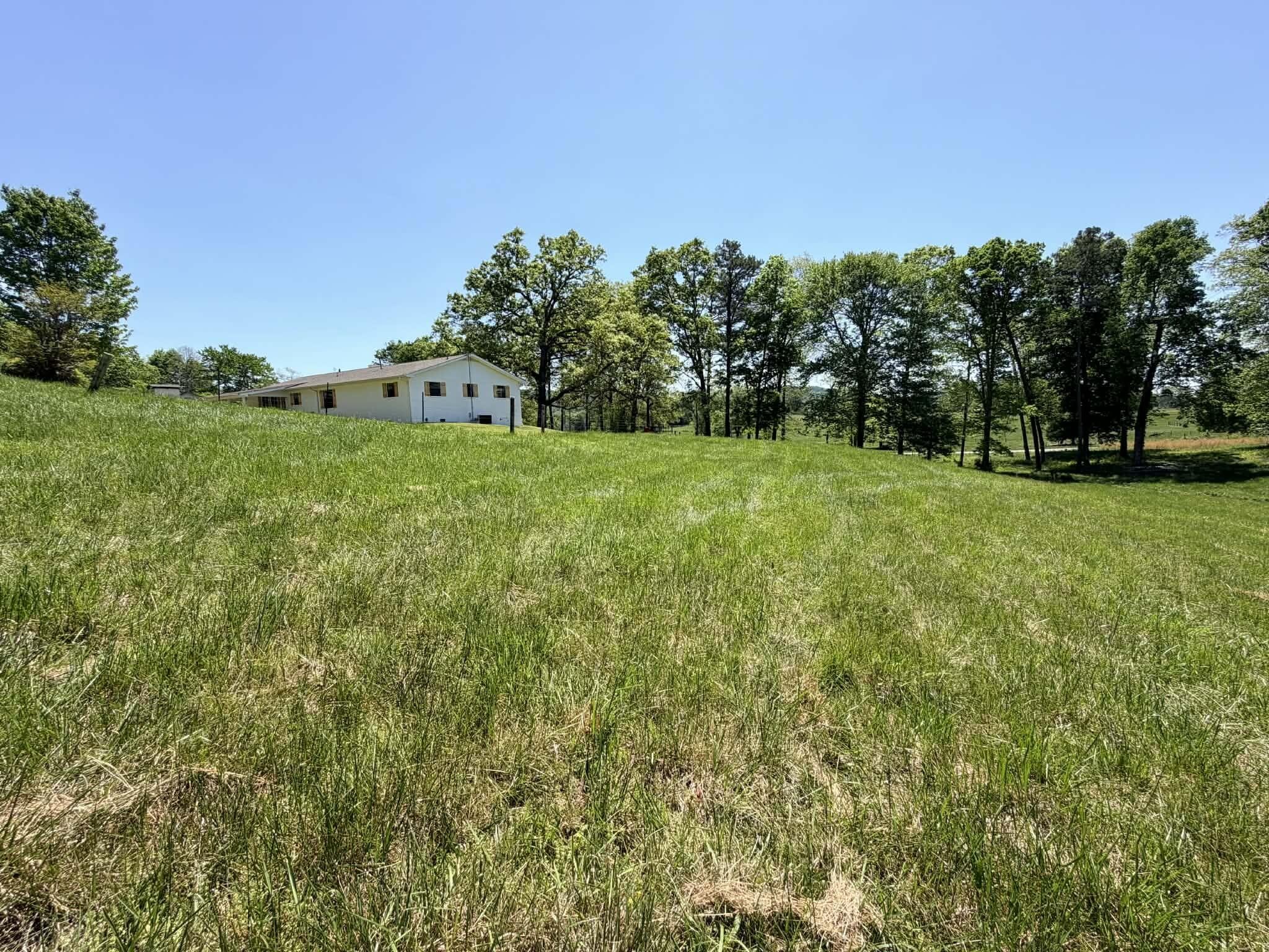 138 Keylon Hollow Road Ten Mile, TN 37880 - Photo 10 of 52 Gallery Image 10