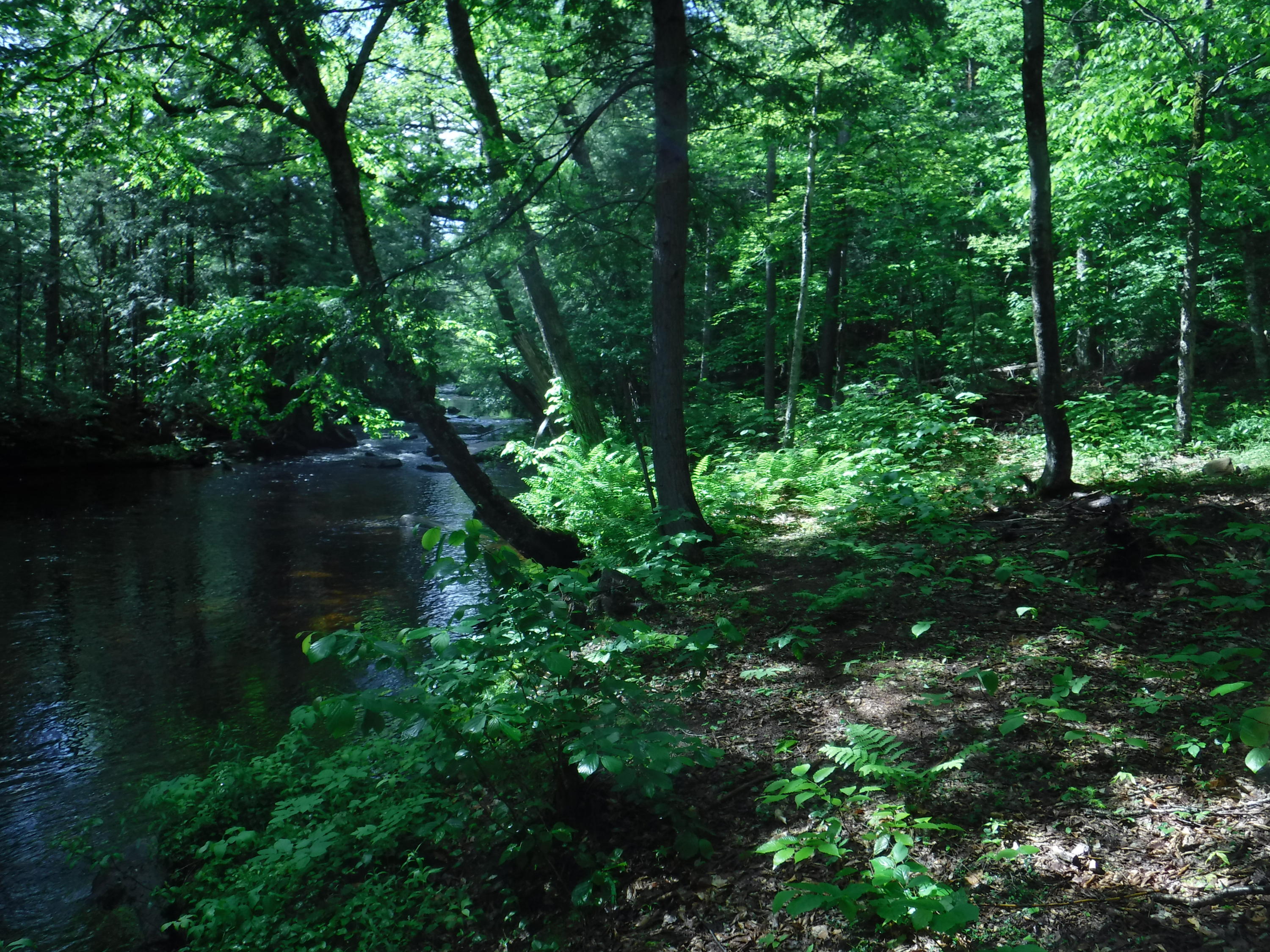 1252 South Arm Road Andover, ME 04216 - Photo 20 of 36 DSCF8321