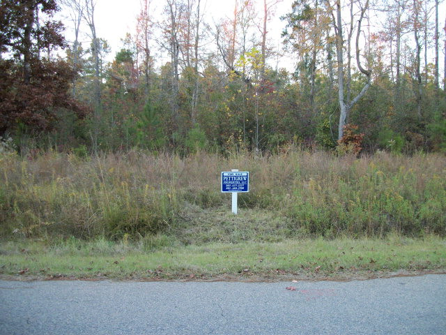 Lot 2 Woodridge Road Edgefield, SC 29824 - Photo 1 of 1 Main View