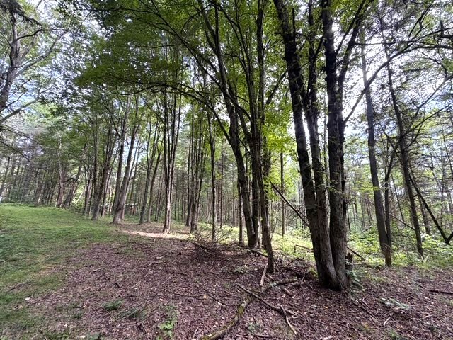 2 Dutton Loop Cuba, NY 14727 - Photo 8 of 16 Gallery Image 8