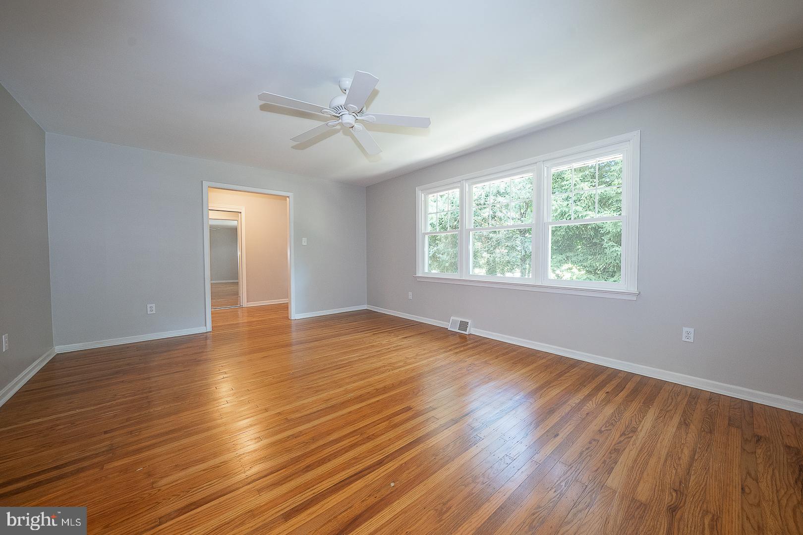 Sunny living room