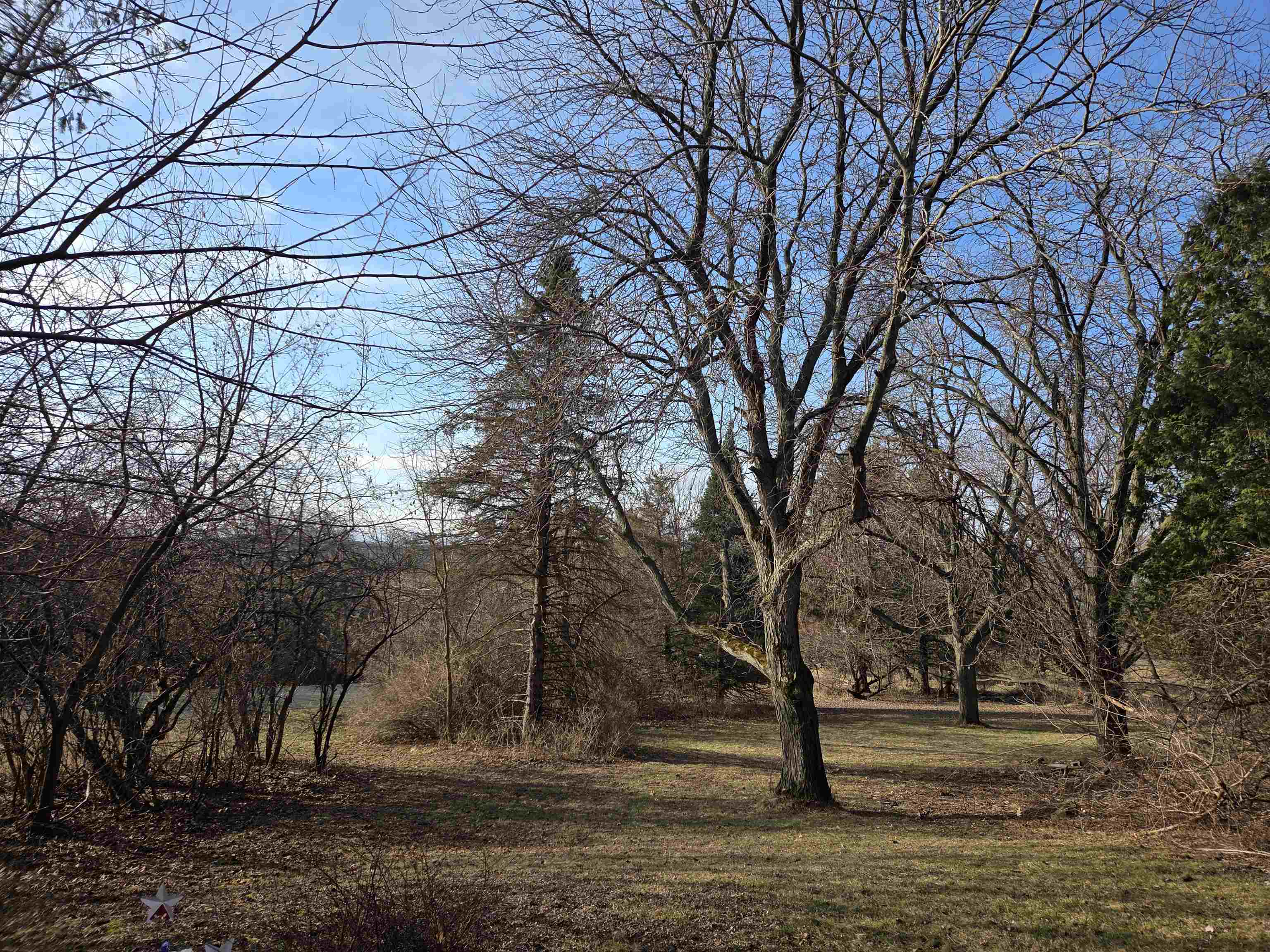 N3581 Skyhigh Road Poynette, WI 53955 - Photo 5 of 41