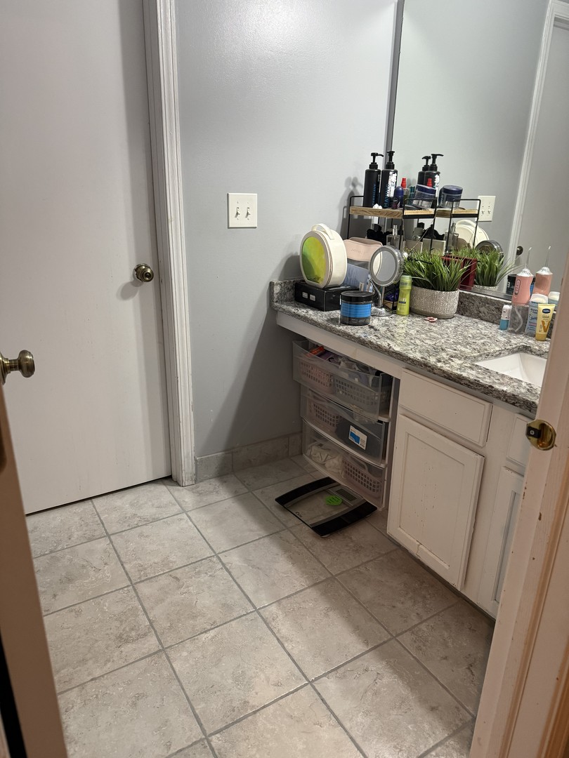 689 Shannon Drive Romeoville, IL 60446 - Photo 23 of 24 a kitchen with a sink and a counter top space